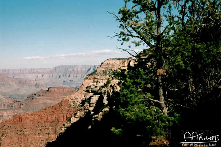 Grand Canyon 4.jpg - Yes Irene there is vegetation.
